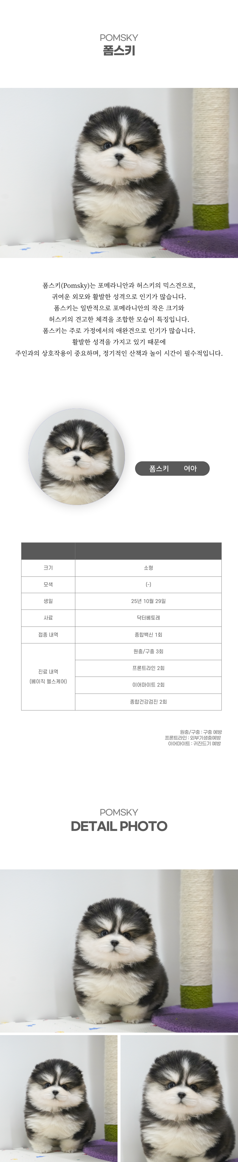 폼스키_상세이미지_2